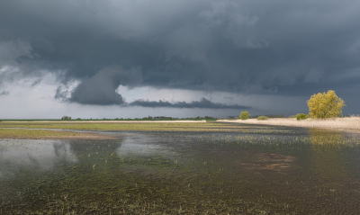 <i class='fa fa-user'></i>&nbsp;Tim Oord&nbsp;|  Bui&nbsp; <i class='fa fa-eye'>&nbsp;87</i> &nbsp;<i class='fa fa-thumbs-up'>&nbsp;3</i> &nbsp; <i class='fa fa-comment-o'>&nbsp;4</i>