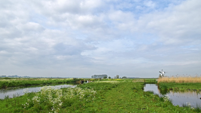 <i class='fa fa-user'></i>&nbsp;kooyammers&nbsp;|  Zomerse Lente&nbsp; <i class='fa fa-eye'>&nbsp;72</i> &nbsp;<i class='fa fa-thumbs-up'>&nbsp;3</i> &nbsp; <i class='fa fa-comment-o'>&nbsp;3</i>