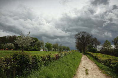 <i class='fa fa-user'></i>&nbsp;Pieter  LJ&nbsp;|  Limburgs heuvellandschap&nbsp; <i class='fa fa-eye'>&nbsp;119</i> &nbsp;<i class='fa fa-thumbs-up'>&nbsp;6</i> &nbsp; <i class='fa fa-comment-o'>&nbsp;9</i>