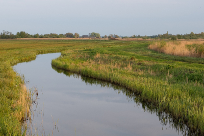 <i class='fa fa-user'></i>&nbsp;Tim Oord&nbsp;|  Sloot in avondlicht&nbsp; <i class='fa fa-eye'>&nbsp;76</i> &nbsp; <i class='fa fa-comment-o'>&nbsp;10</i>