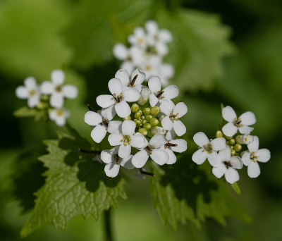 <i class='fa fa-user'></i>&nbsp;Tim Oord&nbsp;|  Look-zonder-look&nbsp; <i class='fa fa-eye'>&nbsp;43</i> &nbsp; <i class='fa fa-comment-o'>&nbsp;1</i>