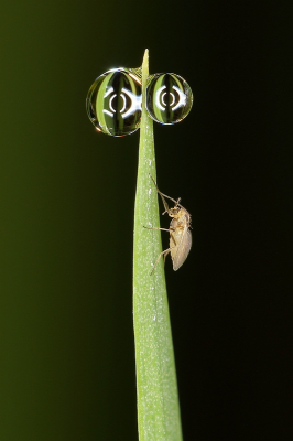 <i class='fa fa-user'></i>&nbsp;Sophie&nbsp;|  Dansmug sp.&nbsp; <i class='fa fa-eye'>&nbsp;87</i> &nbsp;<i class='fa fa-thumbs-up'>&nbsp;2</i> &nbsp; <i class='fa fa-comment-o'>&nbsp;2</i>