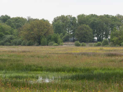 <i class='fa fa-user'></i>&nbsp;Tim Oord&nbsp;|  Blauwgrasland&nbsp; <i class='fa fa-eye'>&nbsp;78</i> &nbsp; <i class='fa fa-comment-o'>&nbsp;5</i>