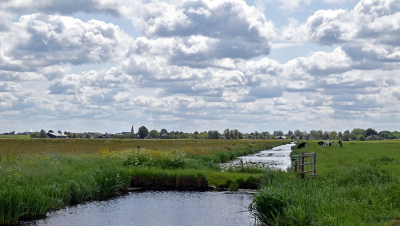 <i class='fa fa-user'></i>&nbsp;kooyammers&nbsp;|  Polder Den Hoek&nbsp; <i class='fa fa-eye'>&nbsp;58</i> &nbsp;<i class='fa fa-thumbs-up'>&nbsp;2</i> &nbsp; <i class='fa fa-comment-o'>&nbsp;3</i>