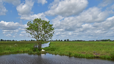 <i class='fa fa-user'></i> kooyammers | Polder Benendenberg  <i class='fa fa-eye'> 71</i>  <i class='fa fa-thumbs-up'> 3</i>   <i class='fa fa-comment-o'> 5</i>