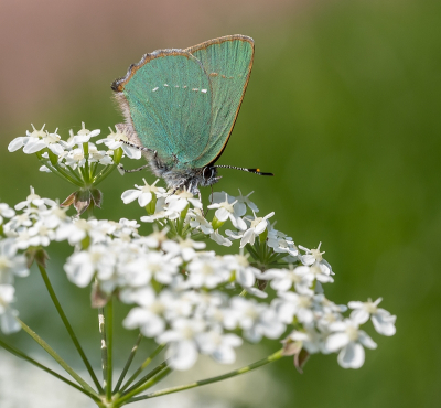 <i class='fa fa-user'></i>&nbsp;Tim Oord&nbsp;|  Groentje&nbsp; <i class='fa fa-eye'>&nbsp;59</i> &nbsp;<i class='fa fa-thumbs-up'>&nbsp;2</i> &nbsp; <i class='fa fa-comment-o'>&nbsp;2</i>