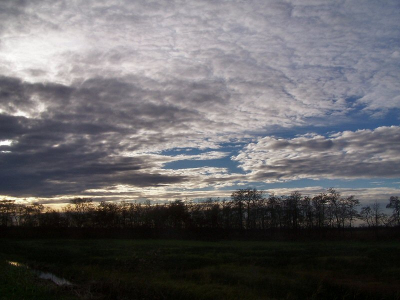 Mooie lucht boven het Naardermeer. Foto alleen geresized en iets verscherpt. Toch merk ik steeds dat mijn foto's op de site meer ruis hebben dan bij mij op de pc..