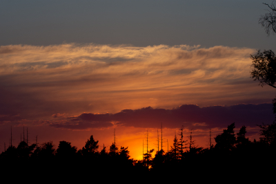 Na een avondje wandelen door de Loenermark een mooi plekje gevonden waar de zonsondergang mooi te zien was en ik niet meer ver naar de auto hoefde te lopen zodat ik kon blijven tot de zon echt uit zicht was.