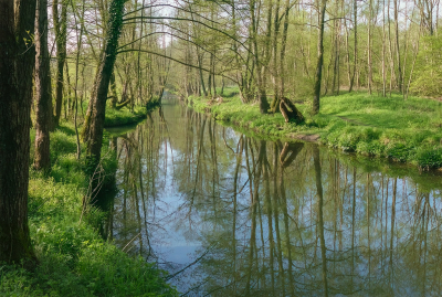 De Geul bij La Plombires, een mooi stukje natuur met een diversiteit aan fauna en flora.