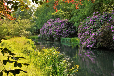 <i class='fa fa-user'></i>&nbsp;hesterb&nbsp;|  Elswout&nbsp; <i class='fa fa-eye'>&nbsp;97</i> &nbsp;<i class='fa fa-thumbs-up'>&nbsp;1</i> &nbsp; <i class='fa fa-comment-o'>&nbsp;5</i>