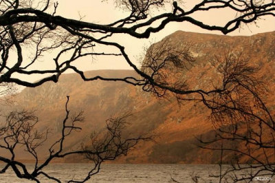 Was hier om het herintroductieproject van steenarenden in Ierland te bekijken. Kreeg die dag precies een half uur zonlicht, en ongeveer na het drukken op de ontspanknop verdween de zon achter een dik wolkenpakket en een stevige regenbui. Deze kon het slechte weer me niet meer afnemen,