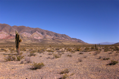 Desolaat landschap