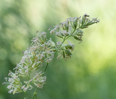 <i class='fa fa-user'></i>&nbsp;Tim Oord&nbsp;|  Kropaar&nbsp; <i class='fa fa-eye'>&nbsp;36</i> &nbsp;<i class='fa fa-thumbs-up'>&nbsp;1</i> &nbsp; <i class='fa fa-comment-o'>&nbsp;0</i>