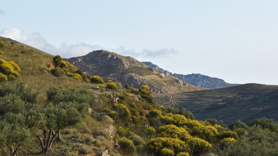 <i class='fa fa-user'></i>&nbsp;kooyammers&nbsp;|  De Heuvels bij Platanos Kreta&nbsp; <i class='fa fa-eye'>&nbsp;60</i> &nbsp;<i class='fa fa-thumbs-up'>&nbsp;1</i> &nbsp; <i class='fa fa-comment-o'>&nbsp;0</i>