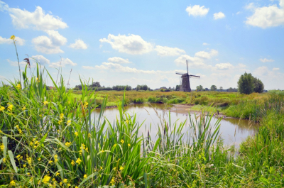 <i class='fa fa-user'></i>&nbsp;B.M.Schouten-Ruis&nbsp;|  Het Doove Gat&nbsp; <i class='fa fa-eye'>&nbsp;61</i> &nbsp;<i class='fa fa-thumbs-up'>&nbsp;1</i> &nbsp; <i class='fa fa-comment-o'>&nbsp;1</i>