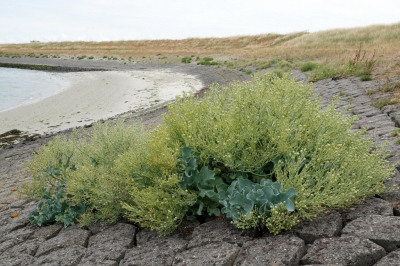 <i class='fa fa-user'></i>&nbsp;ko katsman&nbsp;|  Zeekool&nbsp; <i class='fa fa-eye'>&nbsp;83</i> &nbsp; <i class='fa fa-comment-o'>&nbsp;0</i>