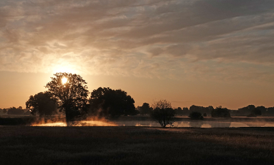 <i class='fa fa-user'></i>&nbsp;nelappelmelk&nbsp;|  Morgenstond&nbsp; <i class='fa fa-eye'>&nbsp;89</i> &nbsp;<i class='fa fa-thumbs-up'>&nbsp;4</i> &nbsp; <i class='fa fa-comment-o'>&nbsp;4</i>