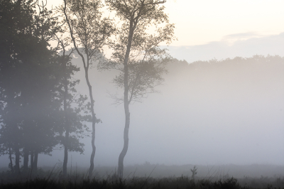 <i class='fa fa-user'></i>&nbsp;ErnovanDoorn&nbsp;|  Mist&nbsp; <i class='fa fa-eye'>&nbsp;53</i> &nbsp; <i class='fa fa-comment-o'>&nbsp;3</i>