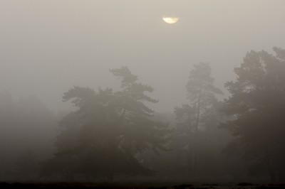 <i class='fa fa-user'></i>&nbsp;ErnovanDoorn&nbsp;|  Mist&nbsp; <i class='fa fa-eye'>&nbsp;58</i> &nbsp; <i class='fa fa-comment-o'>&nbsp;3</i>