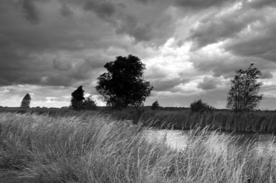 <i class='fa fa-user'></i>&nbsp;B.M.Schouten-Ruis&nbsp;|  Hitland&nbsp; <i class='fa fa-eye'>&nbsp;75</i> &nbsp;<i class='fa fa-thumbs-up'>&nbsp;4</i> &nbsp; <i class='fa fa-comment-o'>&nbsp;2</i>