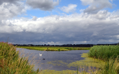 <i class='fa fa-user'></i>&nbsp;B.M.Schouten-Ruis&nbsp;|  Hitland&nbsp; <i class='fa fa-eye'>&nbsp;64</i> &nbsp; <i class='fa fa-comment-o'>&nbsp;1</i>