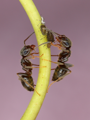 <i class='fa fa-user'></i>&nbsp;Sophie&nbsp;|  Wegmier&nbsp; <i class='fa fa-eye'>&nbsp;131</i> &nbsp;<i class='fa fa-thumbs-up'>&nbsp;15</i> &nbsp; <i class='fa fa-comment-o'>&nbsp;14</i>