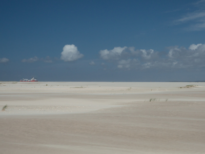 <i class='fa fa-user'></i>&nbsp;susan meijnders&nbsp;|  Mirage&nbsp; <i class='fa fa-eye'>&nbsp;122</i> &nbsp;<i class='fa fa-thumbs-up'>&nbsp;1</i> &nbsp; <i class='fa fa-comment-o'>&nbsp;3</i>