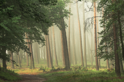 <i class='fa fa-user'></i>&nbsp;ErnovanDoorn&nbsp;|  Doorkijkje&nbsp; <i class='fa fa-eye'>&nbsp;96</i> &nbsp;<i class='fa fa-thumbs-up'>&nbsp;6</i> &nbsp; <i class='fa fa-comment-o'>&nbsp;4</i>