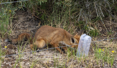 <i class='fa fa-user'></i>&nbsp;PascalK&nbsp;|  Vos&nbsp; <i class='fa fa-eye'>&nbsp;150</i> &nbsp;<i class='fa fa-thumbs-up'>&nbsp;1</i> &nbsp; <i class='fa fa-comment-o'>&nbsp;5</i>