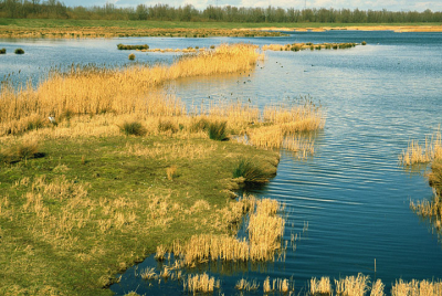 <i class='fa fa-user'></i> Roel Meijer | Spieringpolder  <i class='fa fa-eye'> 286</i>   <i class='fa fa-comment-o'> 0</i>