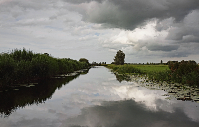 <i class='fa fa-user'></i>&nbsp;Pieter  LJ&nbsp;|  Hollandse luchten&nbsp; <i class='fa fa-eye'>&nbsp;73</i> &nbsp;<i class='fa fa-thumbs-up'>&nbsp;3</i> &nbsp; <i class='fa fa-comment-o'>&nbsp;4</i>