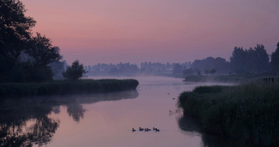 <i class='fa fa-user'></i>&nbsp;Nel R&nbsp;|  Dageraad&nbsp; <i class='fa fa-eye'>&nbsp;95</i> &nbsp;<i class='fa fa-thumbs-up'>&nbsp;9</i> &nbsp; <i class='fa fa-comment-o'>&nbsp;11</i>