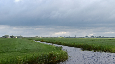 <i class='fa fa-user'></i>&nbsp;kooyammers&nbsp;|  Somber ?&nbsp; <i class='fa fa-eye'>&nbsp;71</i> &nbsp;<i class='fa fa-thumbs-up'>&nbsp;1</i> &nbsp; <i class='fa fa-comment-o'>&nbsp;5</i>