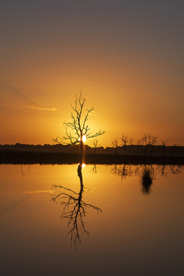 <i class='fa fa-user'></i>&nbsp;Bertus&nbsp;|  Fochteloo&nbsp; <i class='fa fa-eye'>&nbsp;94</i> &nbsp;<i class='fa fa-thumbs-up'>&nbsp;8</i> &nbsp; <i class='fa fa-comment-o'>&nbsp;4</i>