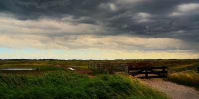 <i class='fa fa-user'></i>&nbsp;B.M.Schouten-Ruis&nbsp;|  Landschap Yerseke Moer&nbsp; <i class='fa fa-eye'>&nbsp;94</i> &nbsp;<i class='fa fa-thumbs-up'>&nbsp;7</i> &nbsp; <i class='fa fa-comment-o'>&nbsp;8</i>