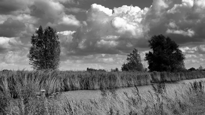 <i class='fa fa-user'></i>&nbsp;B.M.Schouten-Ruis&nbsp;|  Hitland&nbsp; <i class='fa fa-eye'>&nbsp;55</i> &nbsp;<i class='fa fa-thumbs-up'>&nbsp;2</i> &nbsp; <i class='fa fa-comment-o'>&nbsp;4</i>