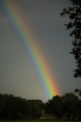 <i class='fa fa-user'></i> Truus Aletta Maan | Regenboog  <i class='fa fa-eye'> 50</i>   <i class='fa fa-comment-o'> 6</i>