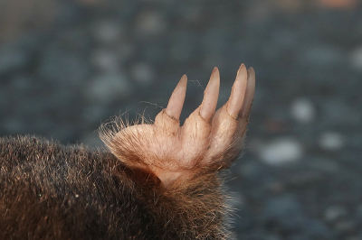 <i class='fa fa-user'></i>&nbsp;nelappelmelk&nbsp;|  Mol&nbsp; <i class='fa fa-eye'>&nbsp;146</i> &nbsp;<i class='fa fa-thumbs-up'>&nbsp;1</i> &nbsp; <i class='fa fa-comment-o'>&nbsp;7</i>