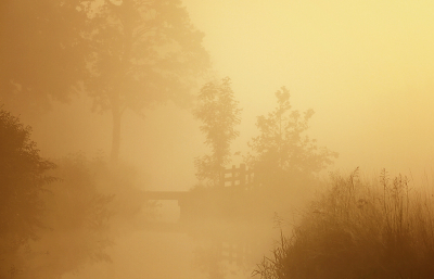 <i class='fa fa-user'></i>&nbsp;Pieter  LJ&nbsp;|  Mistige ochtend&nbsp; <i class='fa fa-eye'>&nbsp;104</i> &nbsp;<i class='fa fa-thumbs-up'>&nbsp;8</i> &nbsp; <i class='fa fa-comment-o'>&nbsp;10</i>