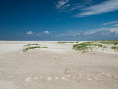 <i class='fa fa-user'></i>&nbsp;susan meijnders&nbsp;|  Strand&nbsp; <i class='fa fa-eye'>&nbsp;77</i> &nbsp; <i class='fa fa-comment-o'>&nbsp;6</i>