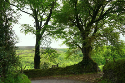 <i class='fa fa-user'></i>&nbsp;Nel R&nbsp;|  Engels landschap&nbsp; <i class='fa fa-eye'>&nbsp;91</i> &nbsp;<i class='fa fa-thumbs-up'>&nbsp;3</i> &nbsp; <i class='fa fa-comment-o'>&nbsp;8</i>