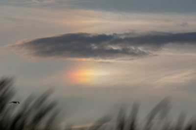 <i class='fa fa-user'></i>&nbsp;Eef Kieft&nbsp;|  Bijzon&nbsp; <i class='fa fa-eye'>&nbsp;73</i> &nbsp; <i class='fa fa-comment-o'>&nbsp;3</i>