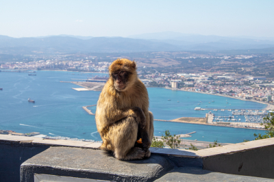 <i class='fa fa-user'></i>&nbsp;Louis56&nbsp;|  Berberaap&nbsp; <i class='fa fa-eye'>&nbsp;104</i> &nbsp;<i class='fa fa-thumbs-up'>&nbsp;1</i> &nbsp; <i class='fa fa-comment-o'>&nbsp;4</i>