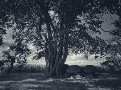 <i class='fa fa-user'></i>&nbsp;Tineke Strijbosch&nbsp;|  Hunebed D21&nbsp; <i class='fa fa-eye'>&nbsp;125</i> &nbsp;<i class='fa fa-thumbs-up'>&nbsp;9</i> &nbsp; <i class='fa fa-comment-o'>&nbsp;12</i>