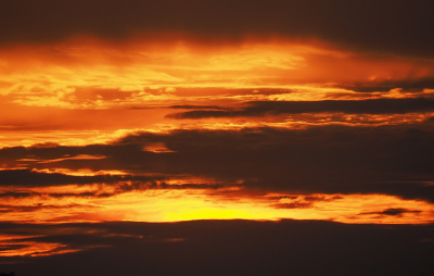 <i class='fa fa-user'></i>&nbsp;Truus Aletta Maan&nbsp;|  Zonsondergang&nbsp; <i class='fa fa-eye'>&nbsp;54</i> &nbsp;<i class='fa fa-thumbs-up'>&nbsp;1</i> &nbsp; <i class='fa fa-comment-o'>&nbsp;6</i>