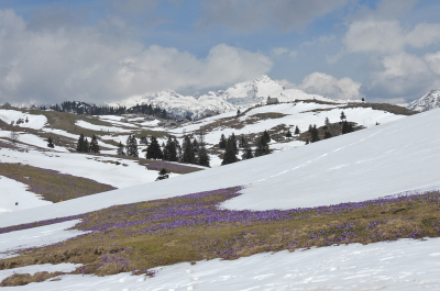 <i class='fa fa-user'></i>&nbsp;sieb&nbsp;|  Velika Planina&nbsp; <i class='fa fa-eye'>&nbsp;120</i> &nbsp;<i class='fa fa-thumbs-up'>&nbsp;6</i> &nbsp; <i class='fa fa-comment-o'>&nbsp;5</i>