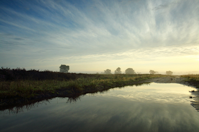 <i class='fa fa-user'></i>&nbsp;Pieter  LJ&nbsp;|  Spiegelende wolkenband&nbsp; <i class='fa fa-eye'>&nbsp;71</i> &nbsp;<i class='fa fa-thumbs-up'>&nbsp;3</i> &nbsp; <i class='fa fa-comment-o'>&nbsp;5</i>