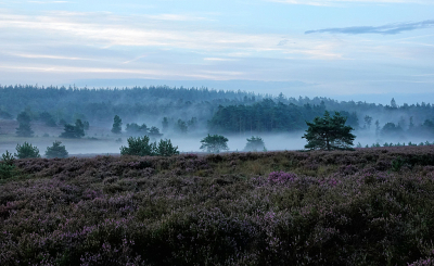 <i class='fa fa-user'></i>&nbsp;nelappelmelk&nbsp;|  Mistflarden&nbsp; <i class='fa fa-eye'>&nbsp;114</i> &nbsp;<i class='fa fa-thumbs-up'>&nbsp;4</i> &nbsp; <i class='fa fa-comment-o'>&nbsp;7</i>