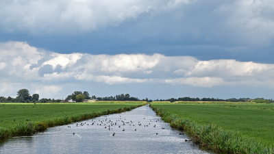 <i class='fa fa-user'></i>&nbsp;kooyammers&nbsp;|  Grasfalt?&nbsp; <i class='fa fa-eye'>&nbsp;73</i> &nbsp; <i class='fa fa-comment-o'>&nbsp;2</i>