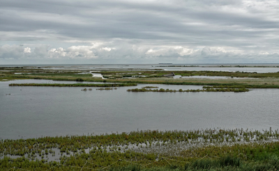 <i class='fa fa-user'></i>&nbsp;nelappelmelk&nbsp;|  Overzicht Markerwadden&nbsp; <i class='fa fa-eye'>&nbsp;80</i> &nbsp; <i class='fa fa-comment-o'>&nbsp;5</i>